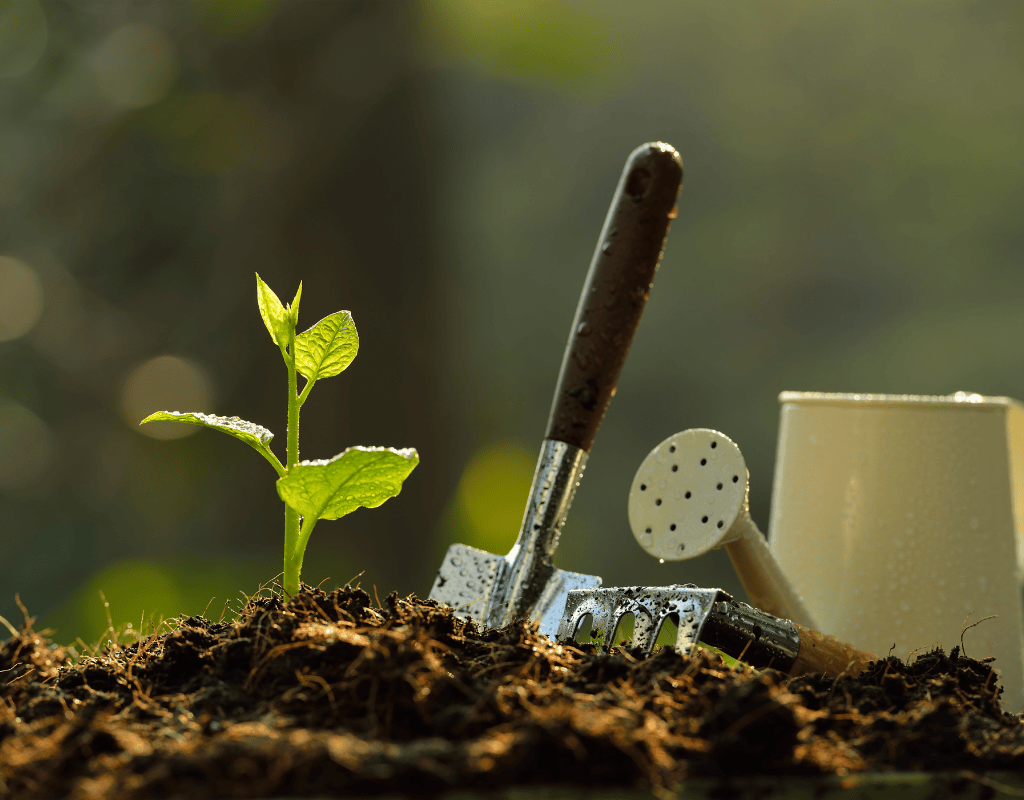 All Natural Landscaping Dover NH precision plantings